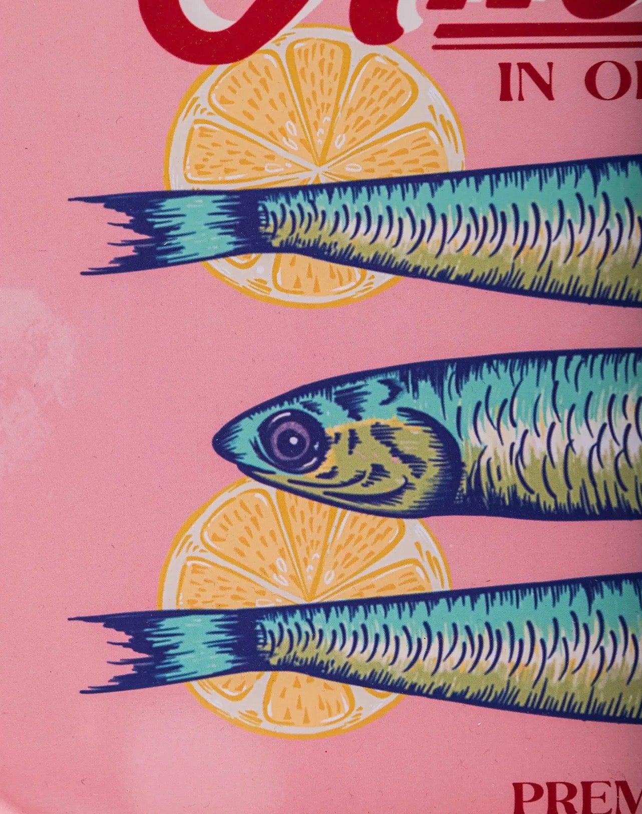 Pink Anchovies Serving Tin
