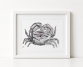 A5 Crab Drawing