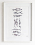 A3 Framed Fish drawing