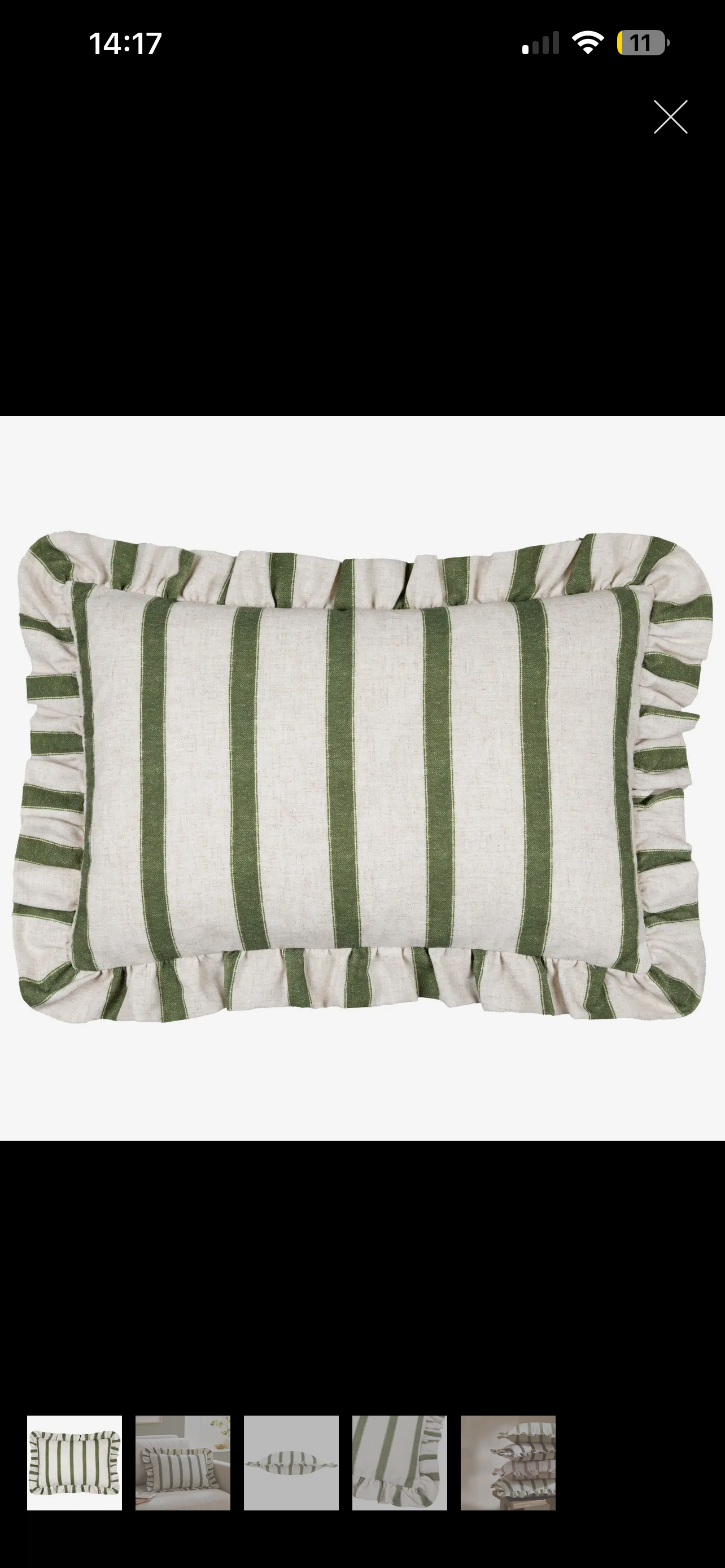Connie Striped Moss Ruffled Feathered Cushion