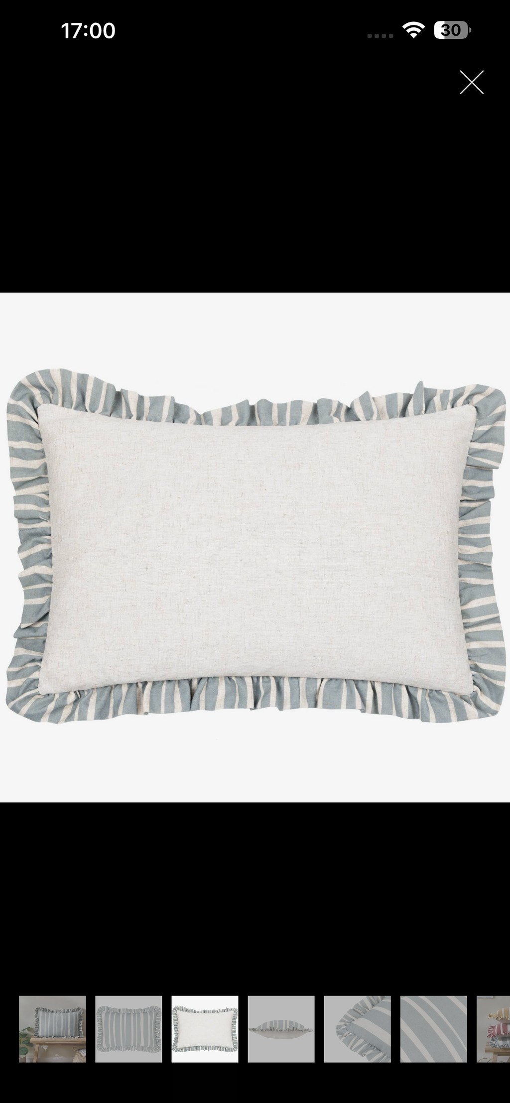 Blue striped feather filled cushion