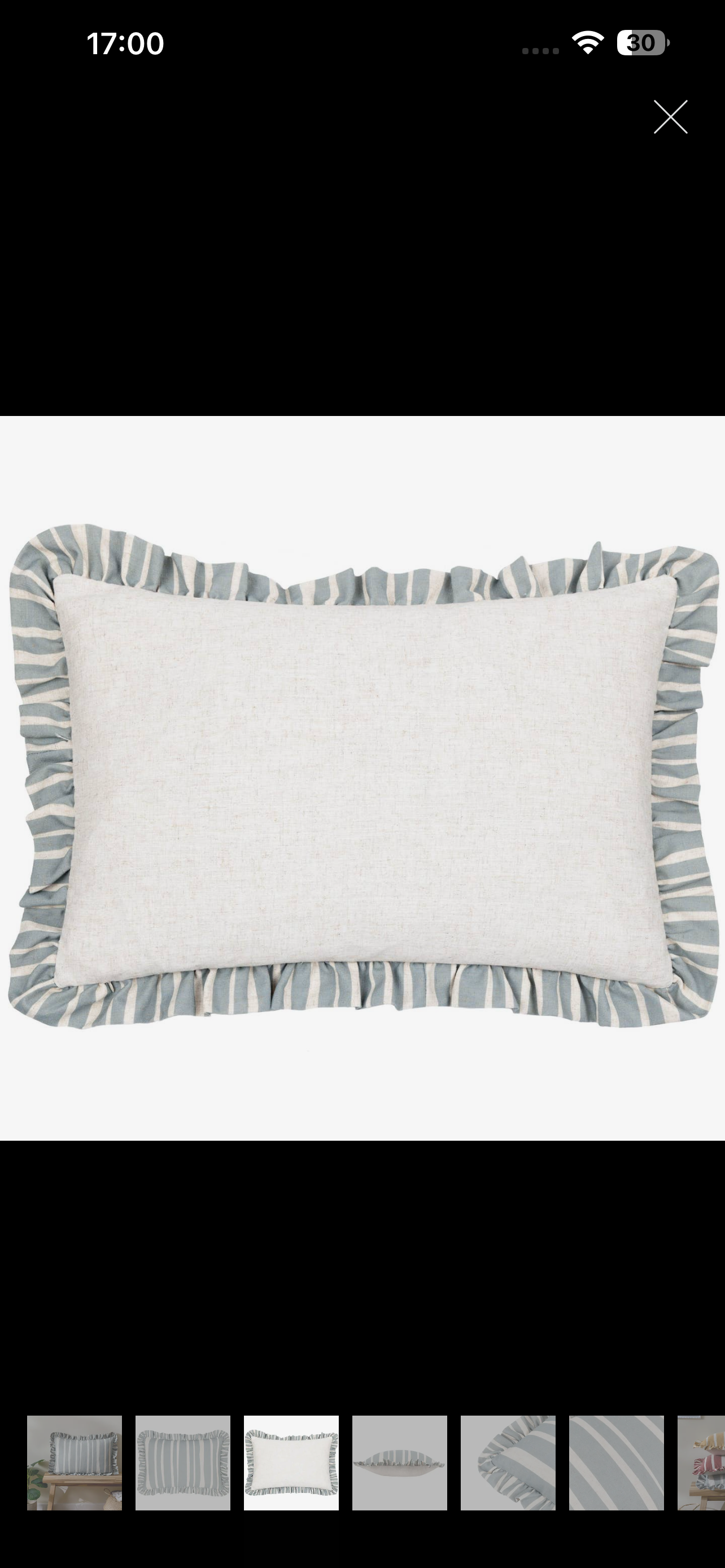Blue striped feather filled cushion