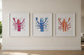 3 Bespoke 30cm Framed Lobster illustrations